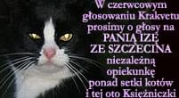 Obrazek