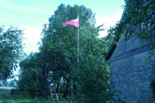 DSC01532.JPG Fotki Zdjęcia Obrazki