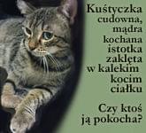 Obrazek