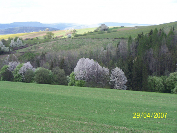 Bieszczady