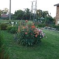 Domy biorące udział w konkursie na najbardziej zadbaną posesję