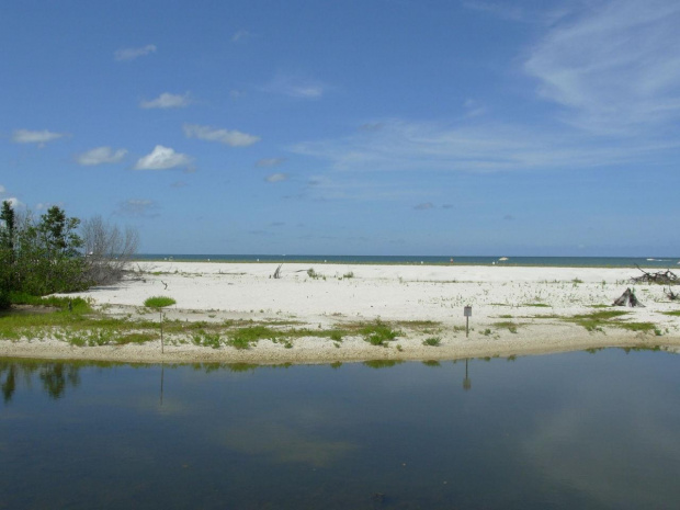 nad Zatoką Meksykańską, biel piasku bierze się z pokruszonych muszli