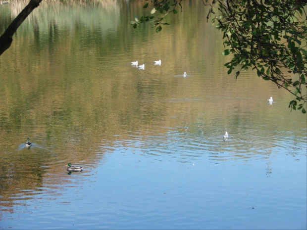 Wrzesień 2007