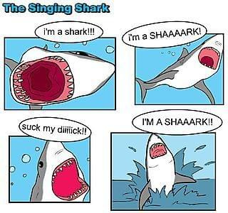 #shark