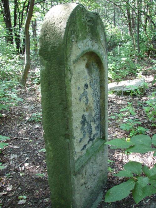 Cmentaż Żydowski w Wieliczce #cmentarz