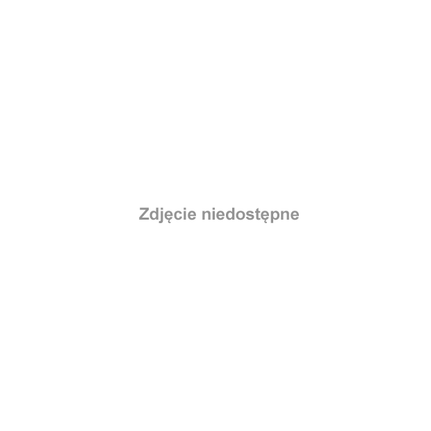 kosciol sw Piotra i Pawła w Nysie. Były klasztor Bożogrobców. Wewnątry replika Bożego Grobu i polichromie. #Śląsk #Silesia #Schlesien #Nysa