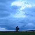 samotne drzewo #drzewo #niebo #chmury #mydłów #borków