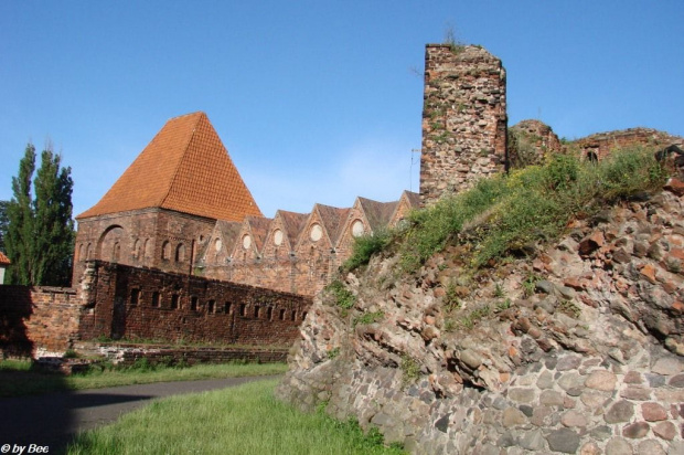 Zamek Krzyżacki w Toruniu #zamki