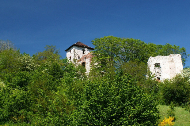 Zamek Tęczyn w Rudnie