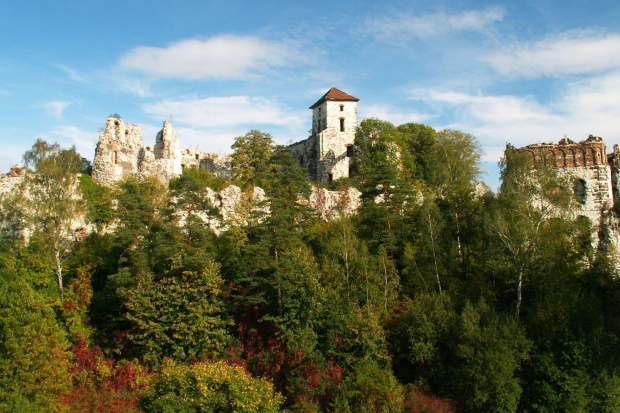 Zamek Tęczyn w Rudnie