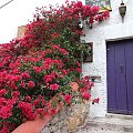 San Miguel de Allende (Guanajuato, México)