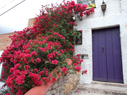 San Miguel de Allende (Guanajuato, México)