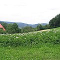 Wycieczka