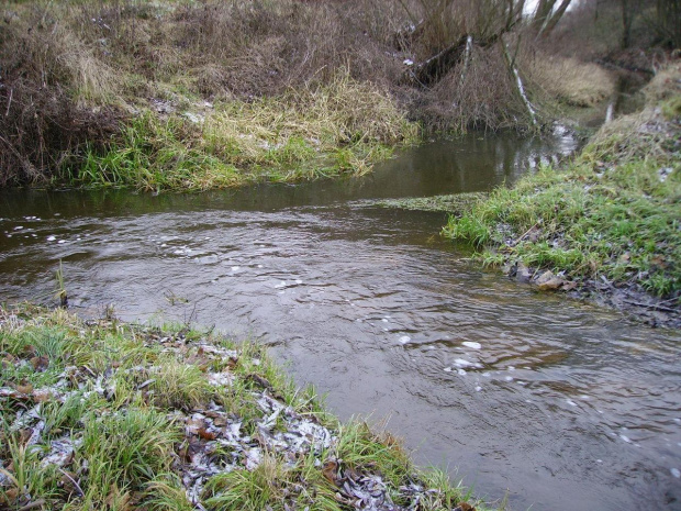 Struga wpływająca do Lutryny