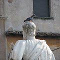 posąg z gołębiem #rzym #roma #włochy #italia #posąg #gołąb