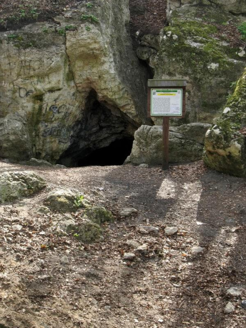 Jaskinia Olsztyńska #jaskinie