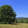 Bieszczady