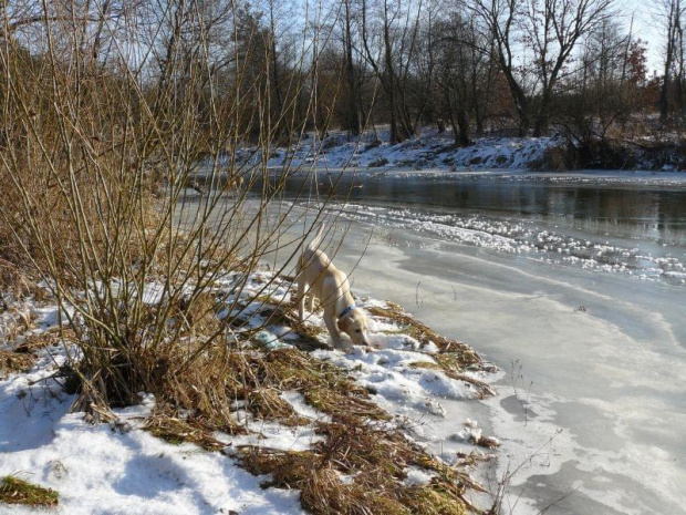 Relacja z pierwszego wypadu do lasu i nad rzekę :)