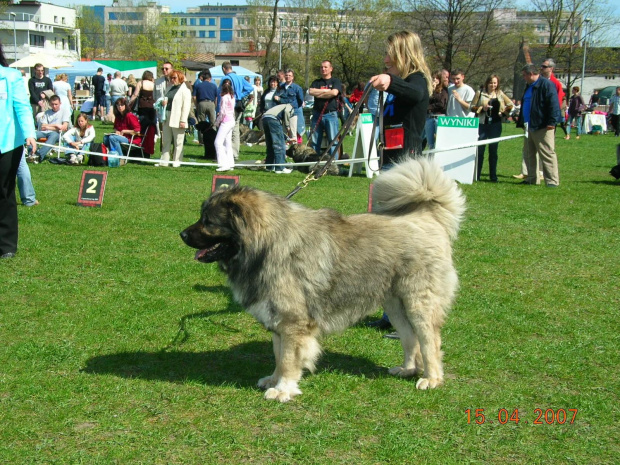 Częstochowa 2007