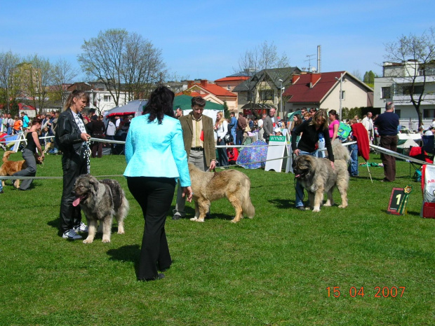 Częstochowa 2007