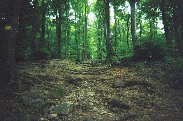 Gora Sleza i okolice #Sleza #Sobotka #Slask #Silesia