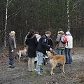 13 stycznia 2008