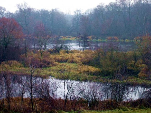 rz.Narew