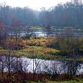 rz.Narew