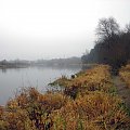 rz.Narew
