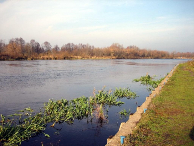 rz.Narew