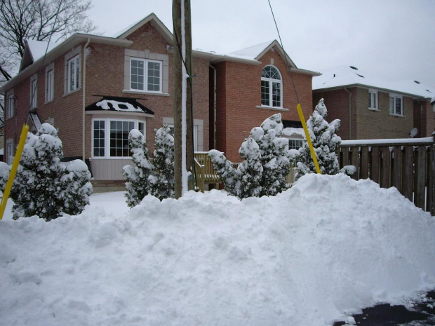 moje sasiedztwo
2 lutego 2008 #Zima2008