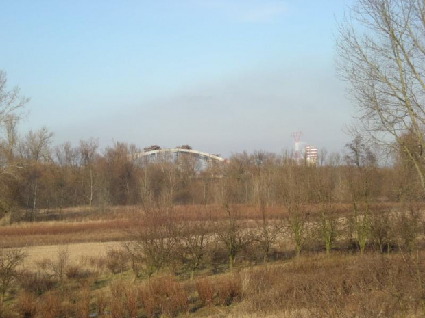 2008-02-02 Budowa mostu w Puławach - Jaroszyn