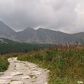 Tatry