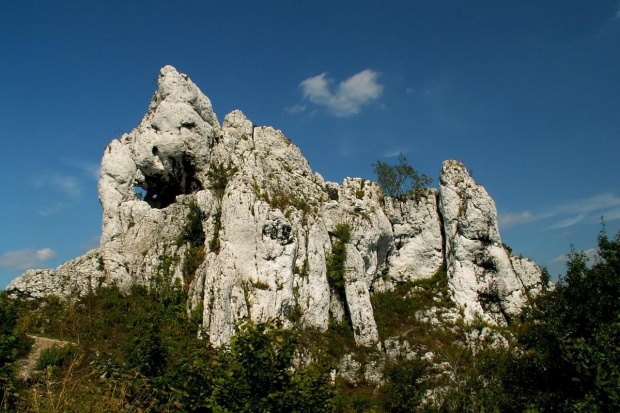 Zamek Ogrodzieniec Podzamcze