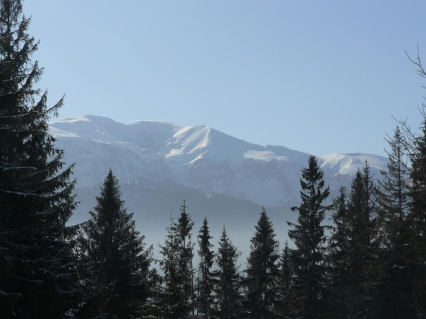 Panorama gór ze spacerniaka na Gubałówce #tatry #zima #widoczki #gubałówka #panorama