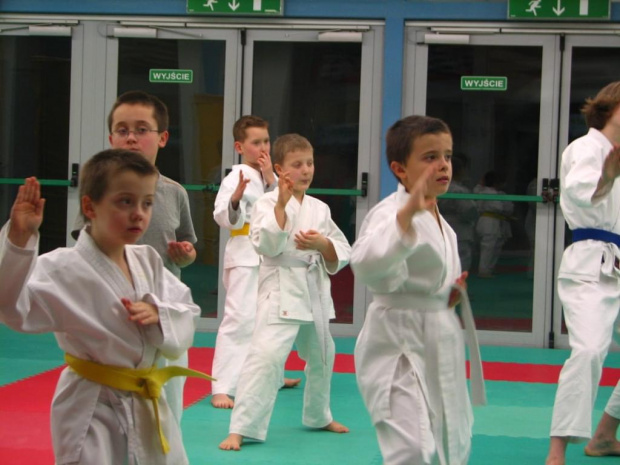 Kamilek ćwiczy karate