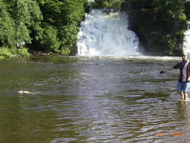 wycieczka do Stavelot- kąpiel pudelka (na smyczy)