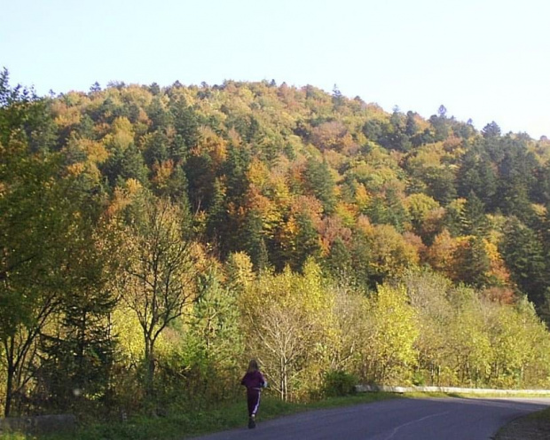 Góry Bieszczady jesienią