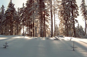 Turbacz 28-31 Stycznia 2008 #Matys #turbacz #podhale #gorce #gpn #czolo #turbacza