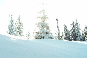 Turbacz 28-31 Stycznia 2008 #Matys #turbacz #podhale #gorce #gpn #czolo #turbacza