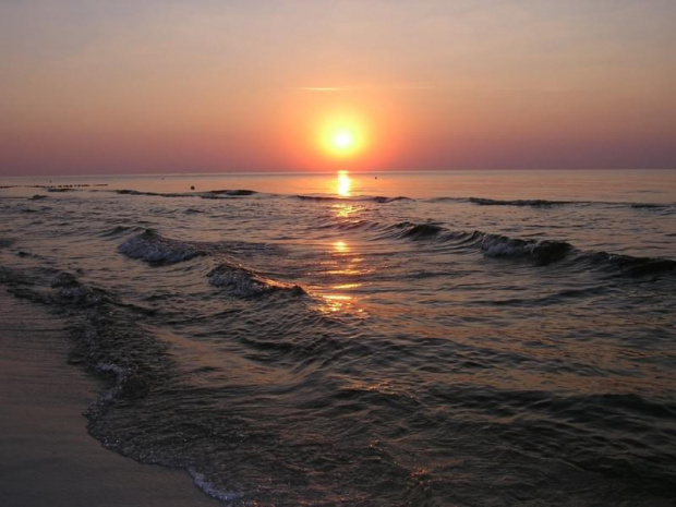 #morze #łeba #mewa #ZachódSłońca