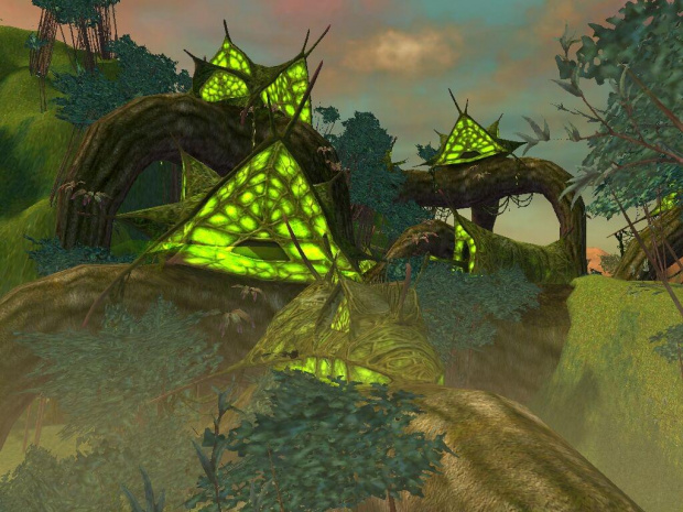 Chaty druidów #GuildWars