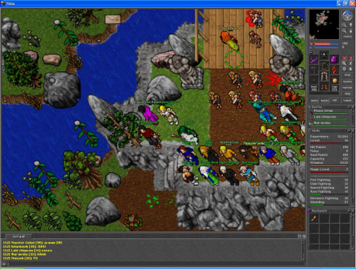 #Tibia