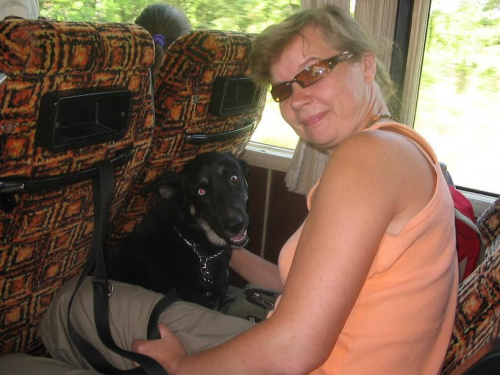 Jedziemy na wycieczkę bierzemy Mimi w ... #wycieczka #pies #psy #zwierzęta