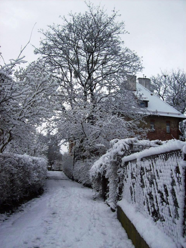 ZIMA Gdańsk.