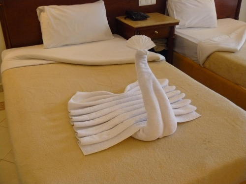 To jest solidność i sztuka egipskich sprzątaczy :) #egipt #sharm #sheikh #hotel #ręcznik #sztuka