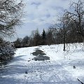 Zdjęcia przedstawiają park i Bazylikę w Chełmie.