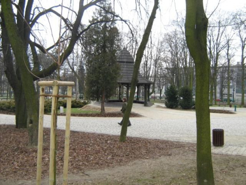 Rewaloryzacja parków Jasnogórskich - Częstochowa #Częstochowa #JasnaGóra #park #klasztor #krokusy #staw