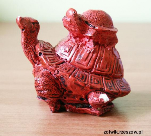 żółw chiński #żółw #figurki
