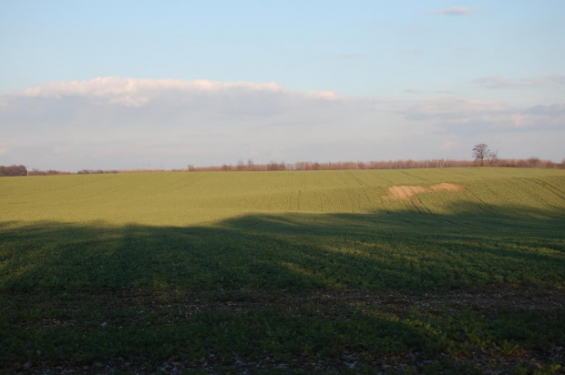 okolice Legnicy- Pawłowice, Czerwony Kościół, Zimna Woda, Raszowa, Raszówka, Mała Rasowa, Szczytniki nad Kaczawą itd #OkoliceLegnicy